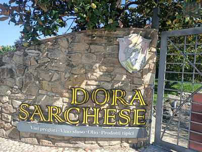 ...che conduce alla sede della cantina Dora Sarchese